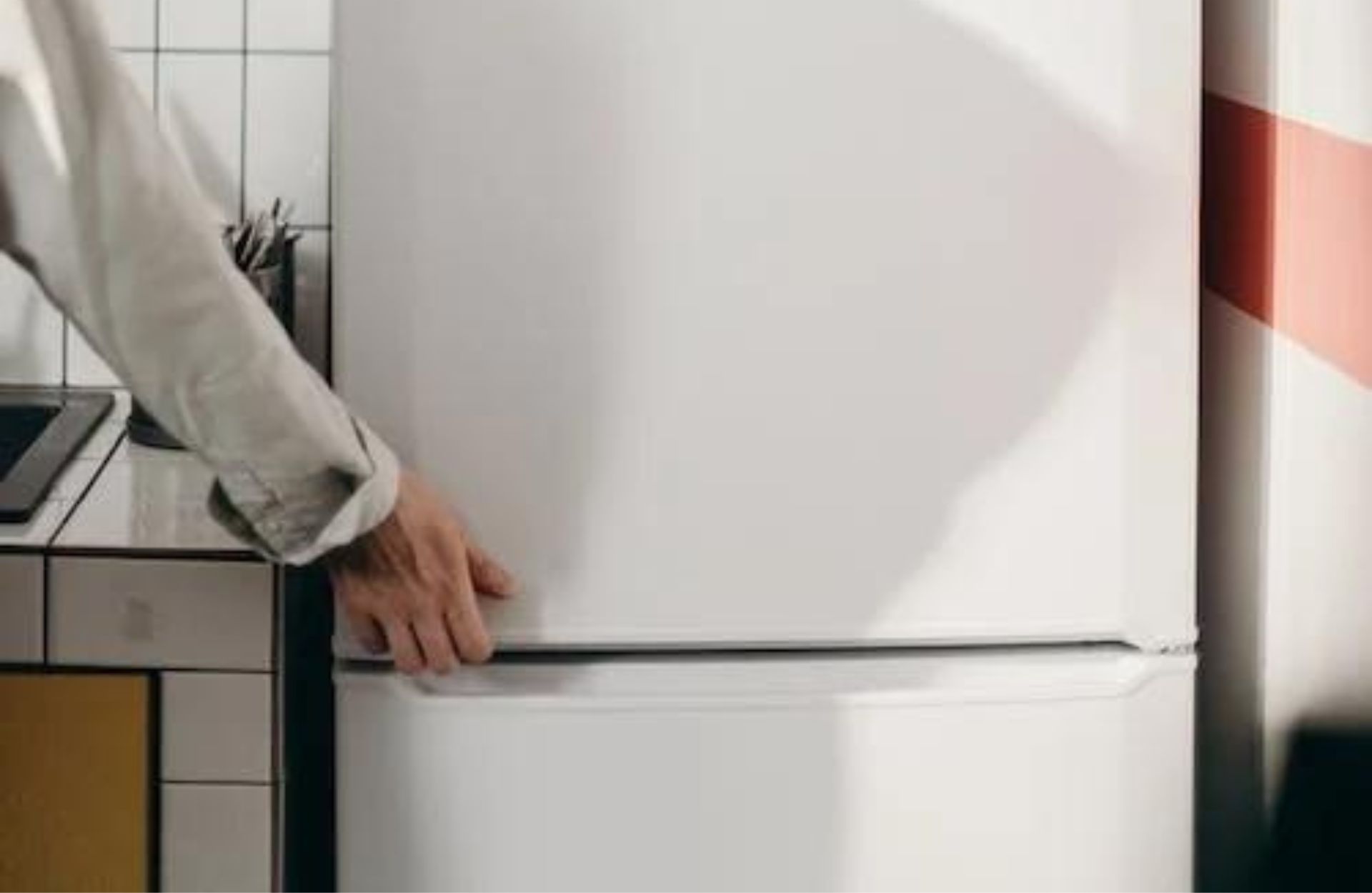 Freezer Bottom Fridge: The Ultimate Guide to Modern Refrigeration